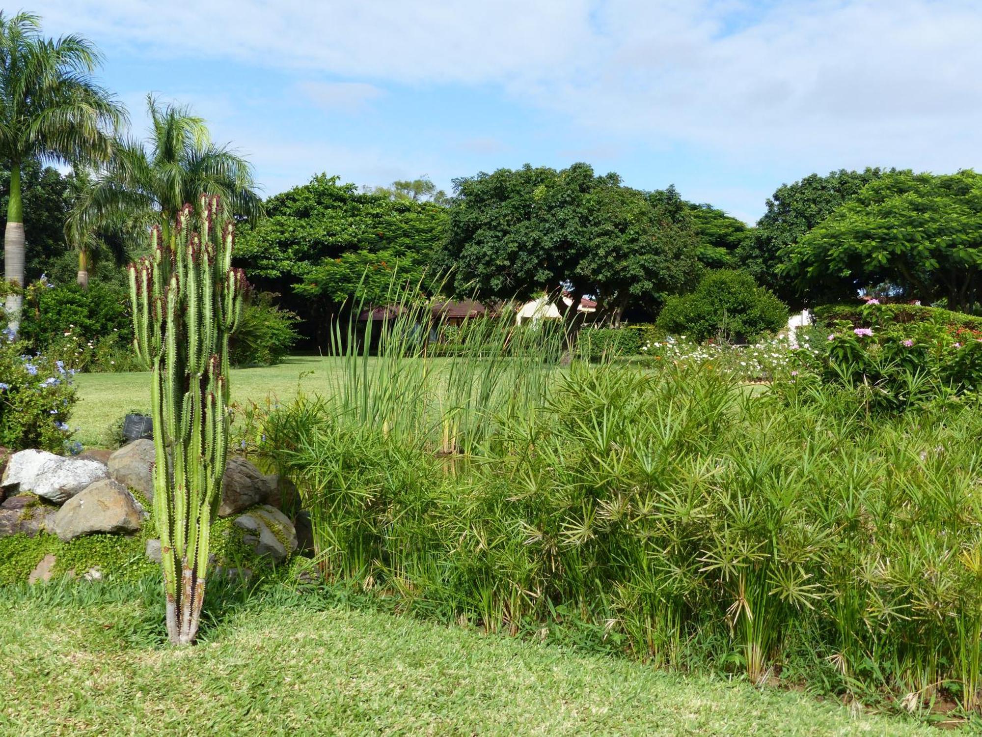 Ancha'S Oasis Hotel Maputo Exterior photo